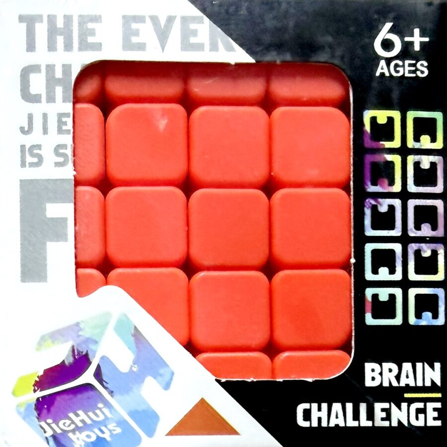 Brain Challenge Big Cube Puzzle